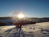 Zimn odpoledne v Rychlebskch horch