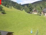 Webcamera Ostru�n�