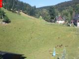 Webkamera Ostru�n�