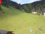 webkamera Ostru�n�